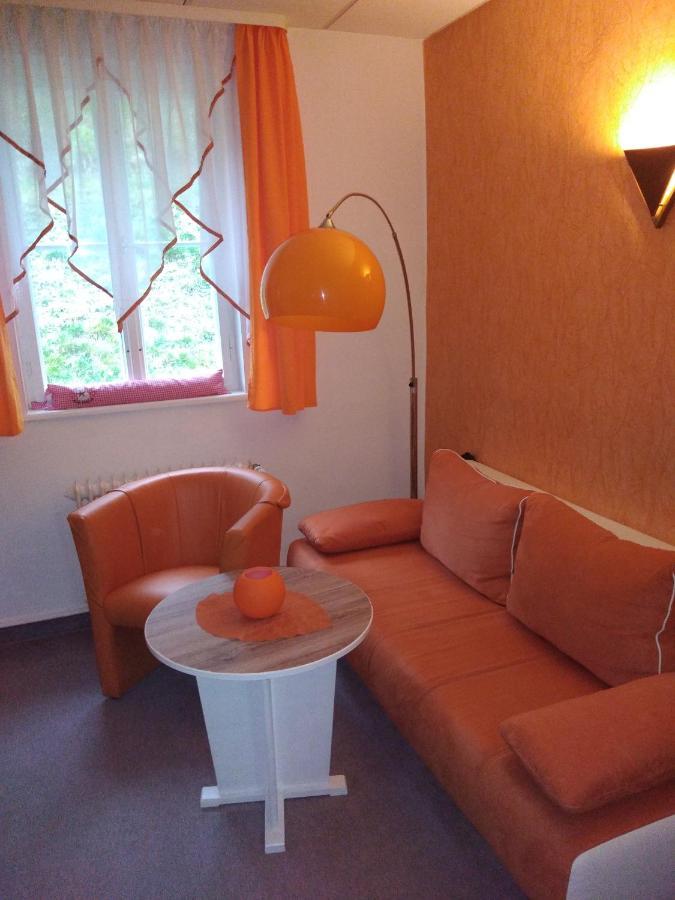Pension Waldidyll Stützerbach エクステリア 写真