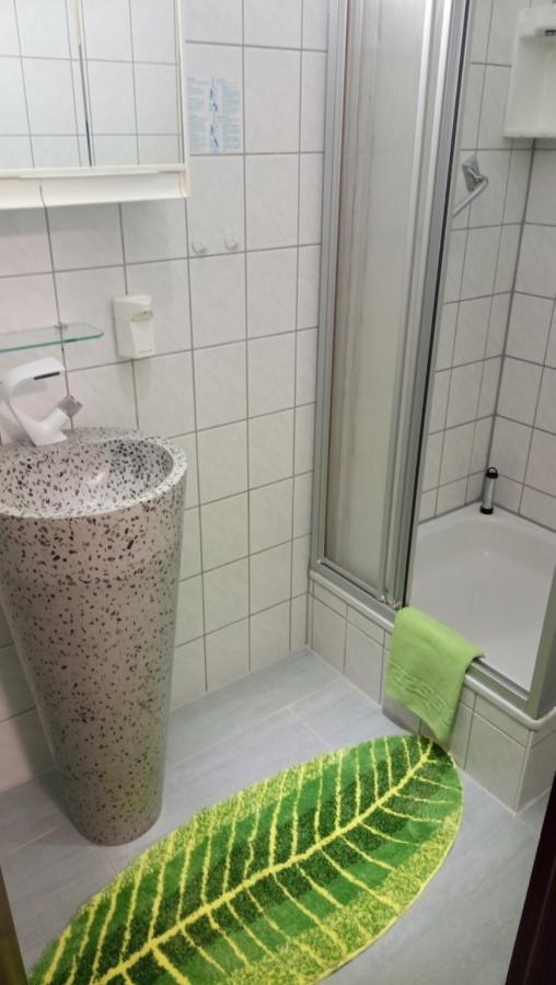 Pension Waldidyll Stützerbach エクステリア 写真