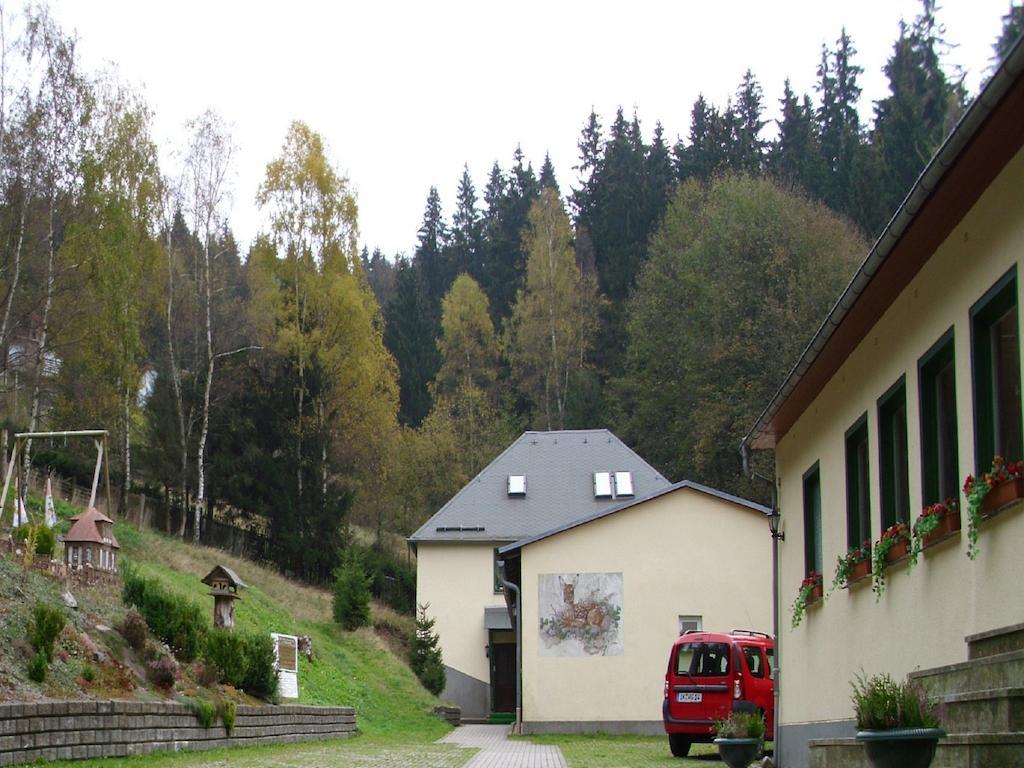 Pension Waldidyll Stützerbach エクステリア 写真