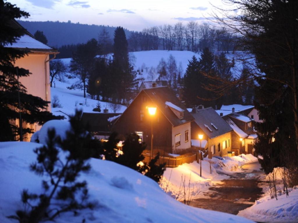 Pension Waldidyll Stützerbach エクステリア 写真