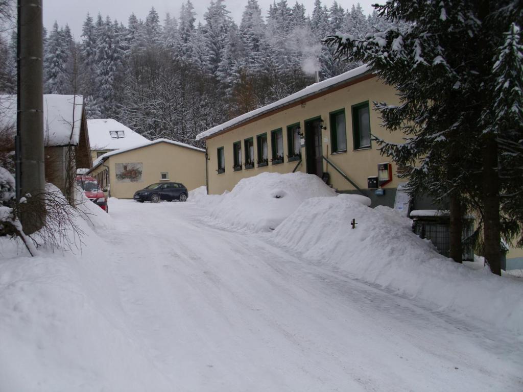 Pension Waldidyll Stützerbach エクステリア 写真