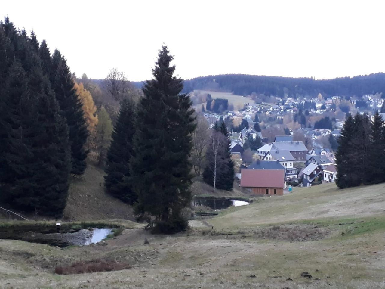Pension Waldidyll Stützerbach エクステリア 写真