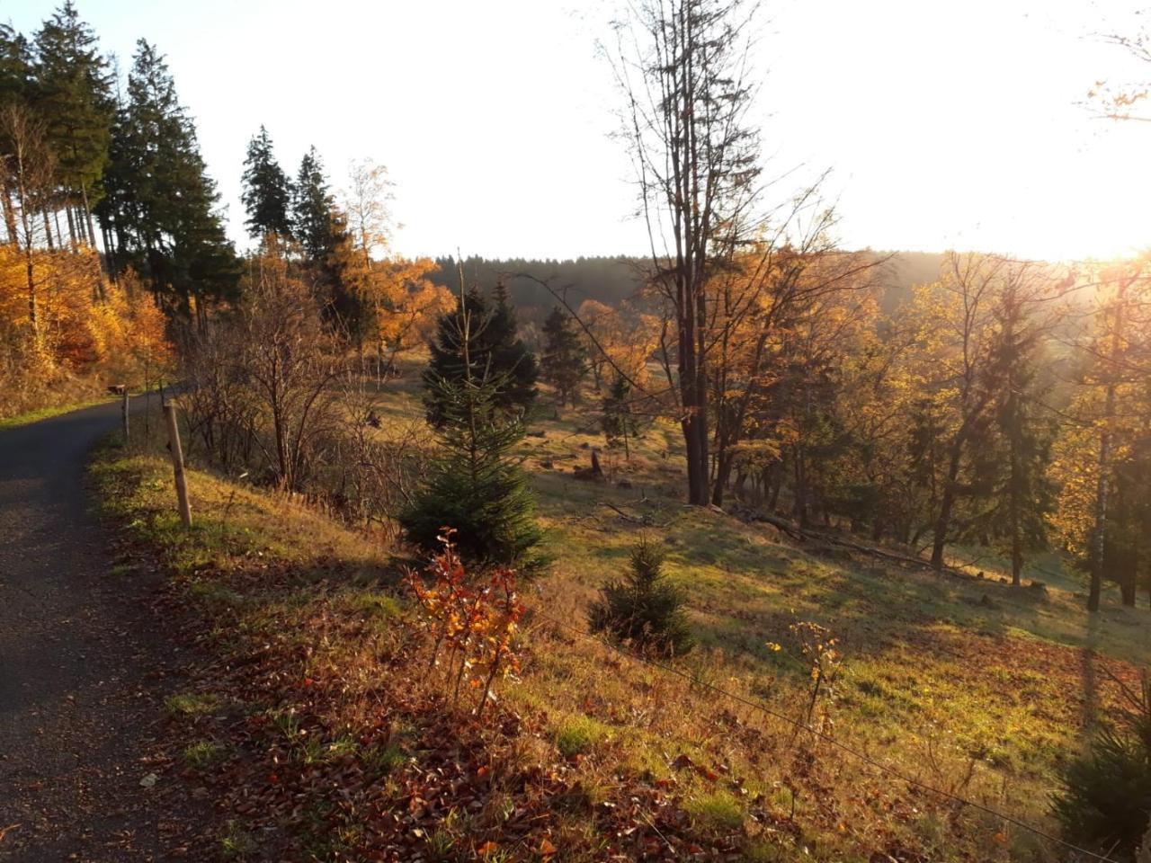 Pension Waldidyll Stützerbach エクステリア 写真
