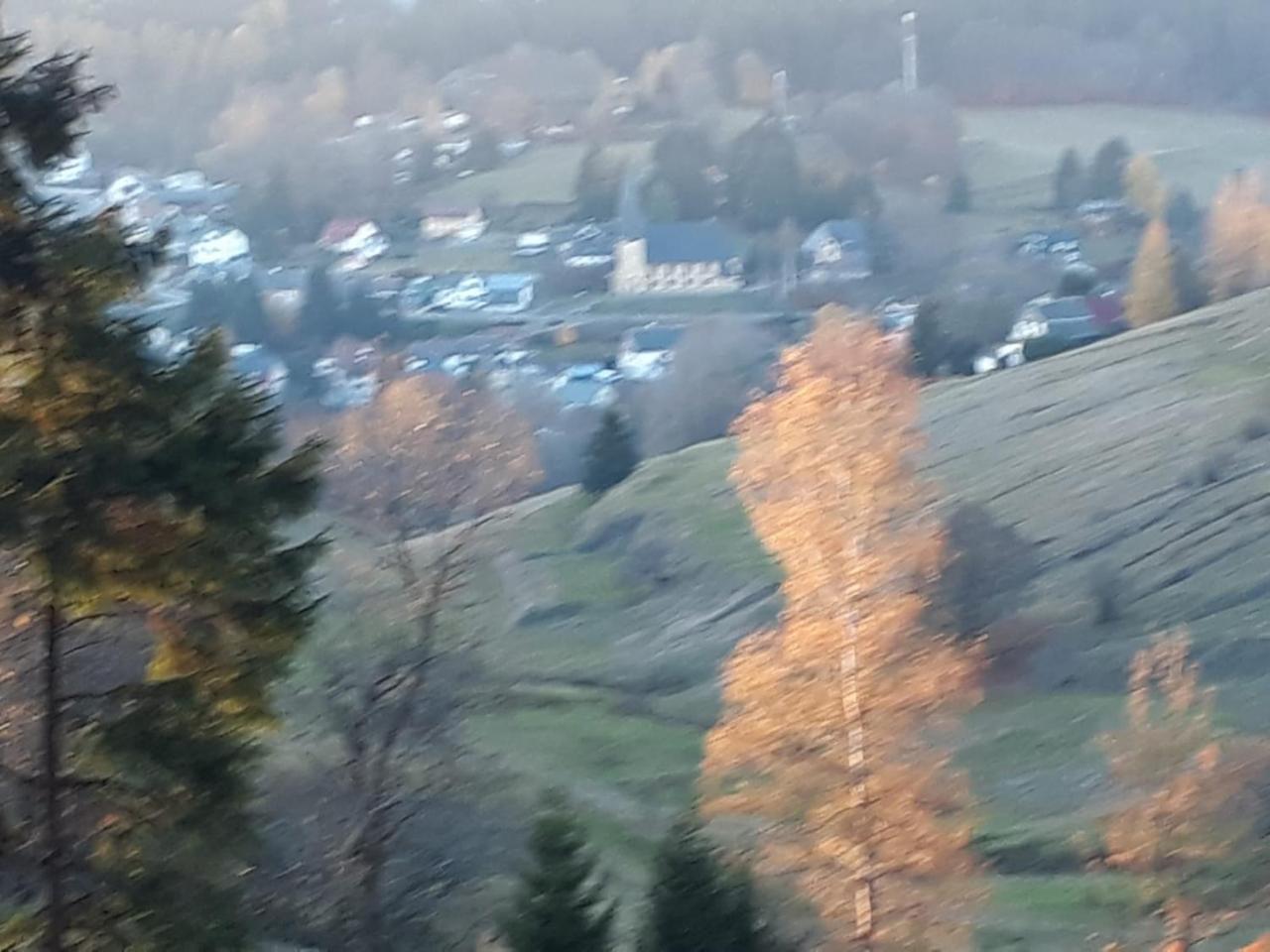 Pension Waldidyll Stützerbach エクステリア 写真