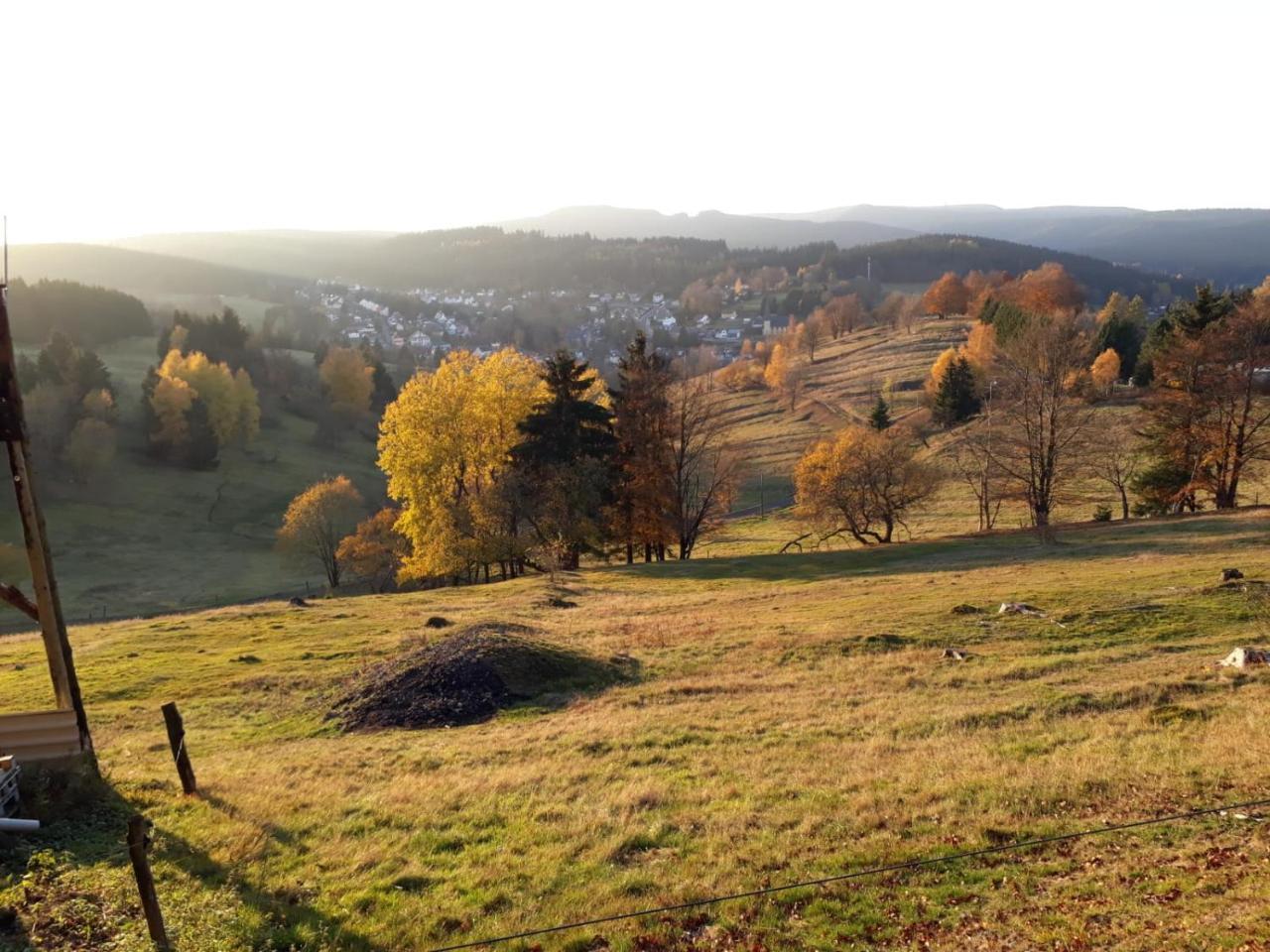 Pension Waldidyll Stützerbach エクステリア 写真
